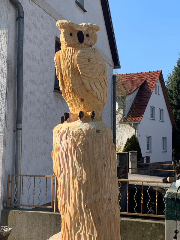 Entstehung einer Skulptur Kettensäge Eule - Holzarbeiten Blochwitz Neuseußlitz